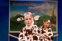 Bild: Klick für download...